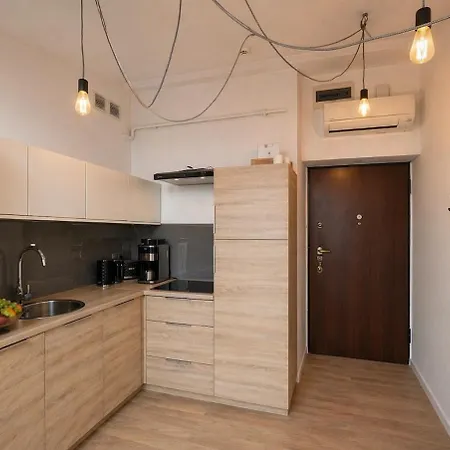 Skylight Loft In Center With Ac 公寓 克拉科夫